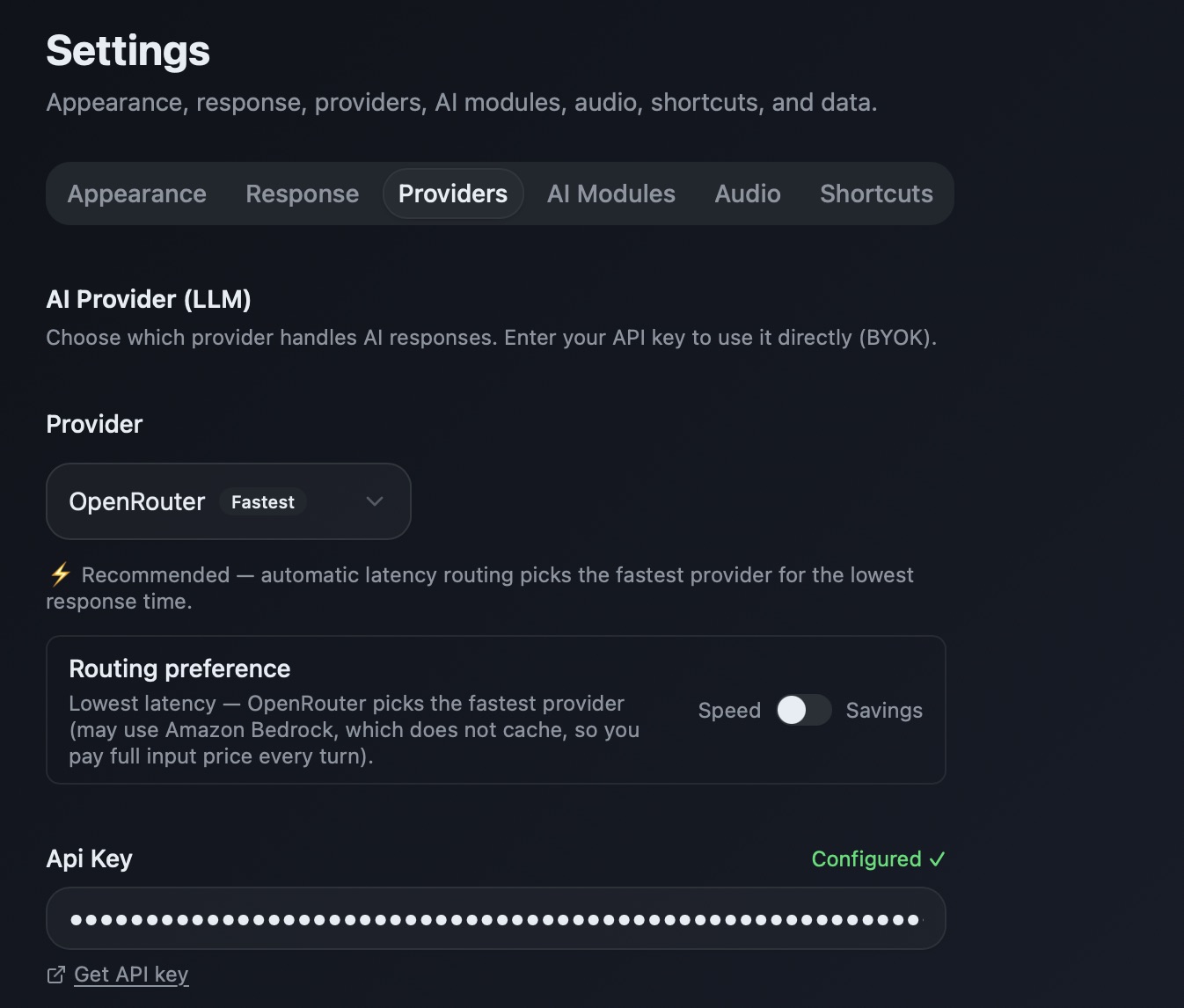 OpenRouter provider settings with the API key field